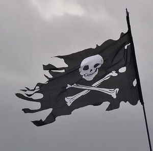 Meet your Posher, Paul